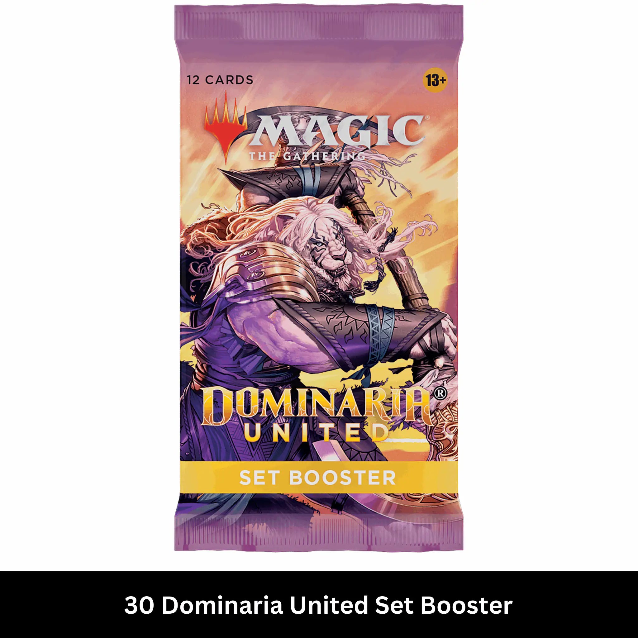 Magic: The Gathering - Dominaria United Set Booster Box - EN