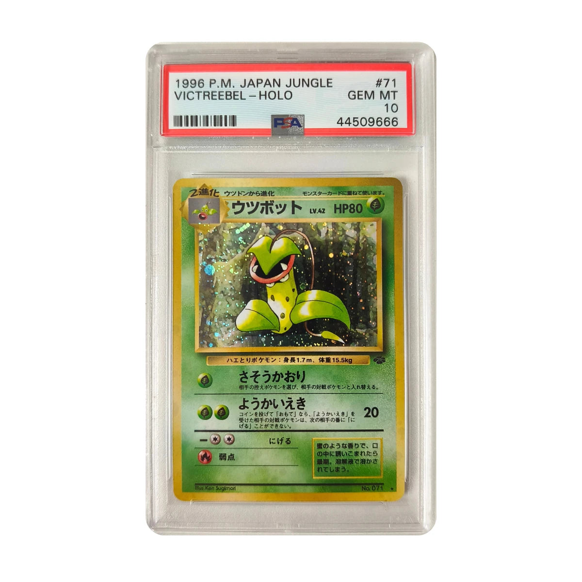 Pokémon - Victreebel #71 (Japanese Jungle) – PSA 10 Gem Mint